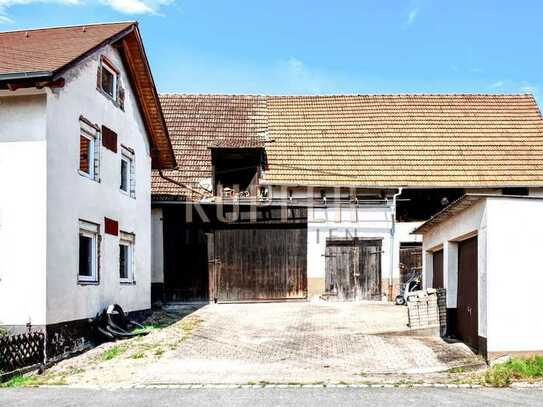 Ehemaliger Bauernhof mit Wohnhaus und großer Scheune, teilsaniert!