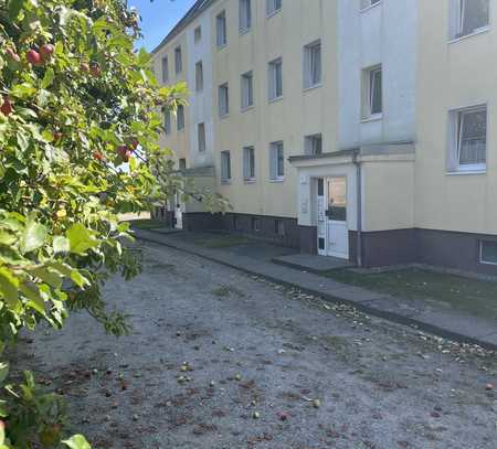 + + + neues Familienglück - helle Vierzimmerwohnung mit Fernblick in Ivenack + + +