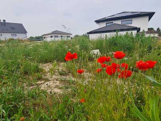 Attraktives Grundstück für Einfamilienhaus in Haspelmoor