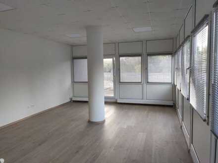 1 Zimmer Apartment, frisch renoviert, hell