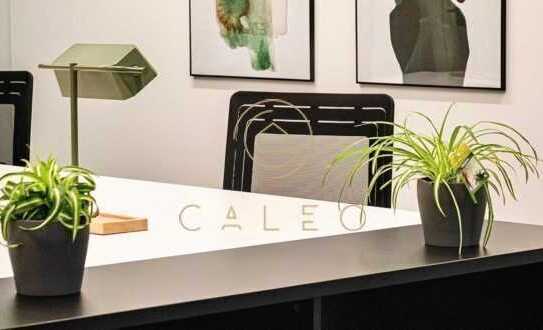 CALEO ¦ Ostend ¦ Atelier ¦ flexibel + sofort bezugsfertig ¦ All-in-Miete ¦ PROVISIONSFREI