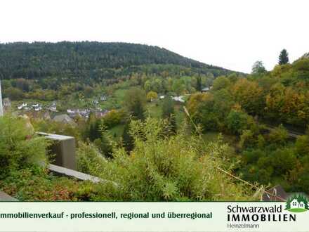 Tolles, geräumiges 1-Zimmer-Appartement in Aussichtslage im Schwarzwald