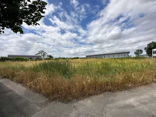 Gewerbegrundstück in Ilsfeld im Gebiet Bustadt