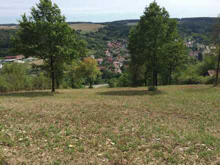 Ehemaliger Weinberg im Aussenbereich