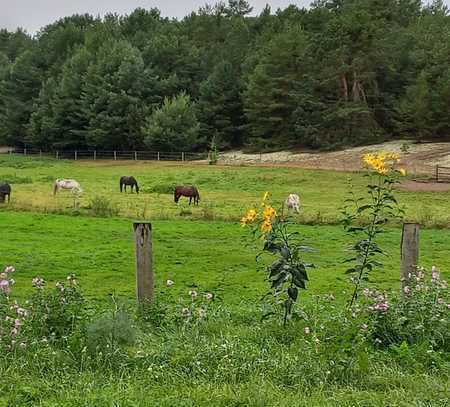 Traumanwesen - 5000 Quadratmeter großes Grundstück in naturbelassener Umgebung