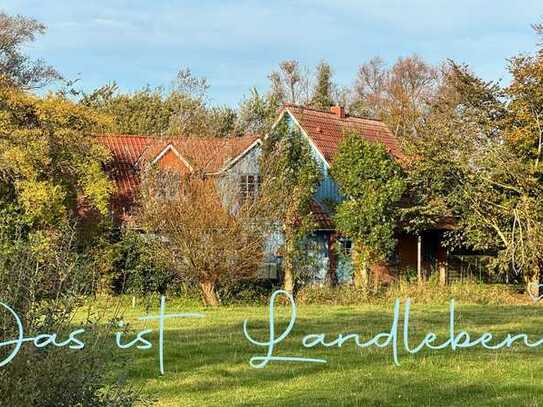 Zwei Häuser, ein Zuhause – Idyllische Alleinlage mit Weitblick an der nordfriesischen Nordseeküste!