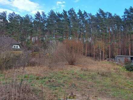 Waldrandlage - Ein Traumgrundstück für Ihr neues Zuhause in Staaken