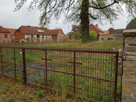 Grosses Baugrundstück mit alter Eiche