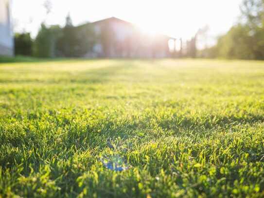 Landwirtschaftliche Fläche