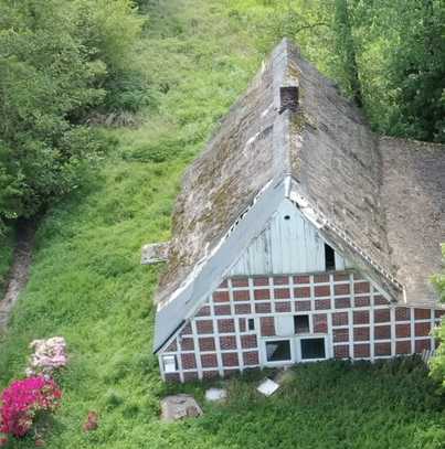 Großes Grundstück mit Altbestand und zahlreichen Möglichkeiten!