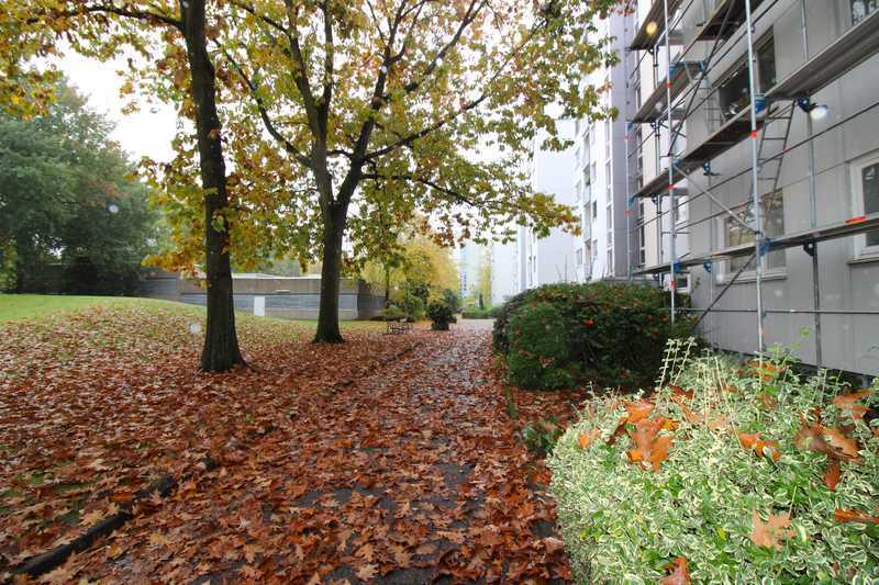 Provisionsfrei! Schöne 2-Zimmer Wohnung in ruhiger Lage mit Blick ins Grüne