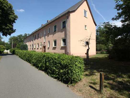 3-Zimmer-Wohnung in Piesteritz