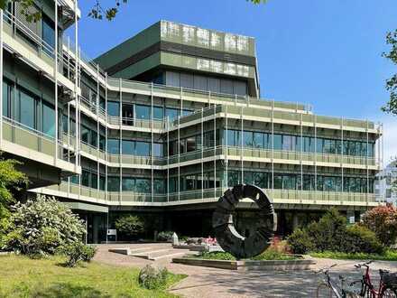 Büroflächen in der Südweststadt - 2. OG West