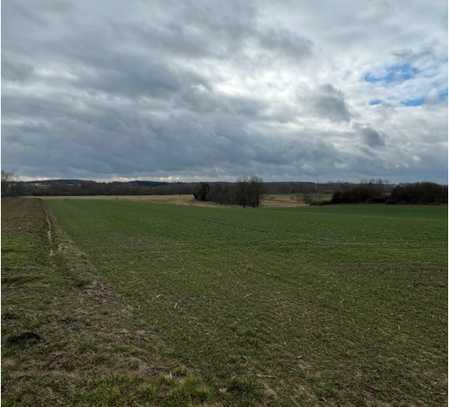 Ackerfläche, landwirtschaftliche Fläche, Ausgleichsfläche