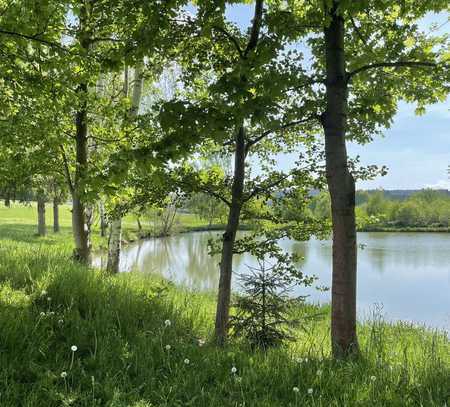 Einzigartiges Anwesen in Deutschland mit über 100.000qm Wald, Wiese, Feld, Fabrik und Villa