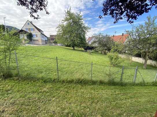 Bauplatz ohne Bauzwang in Balingen-Zillhausen