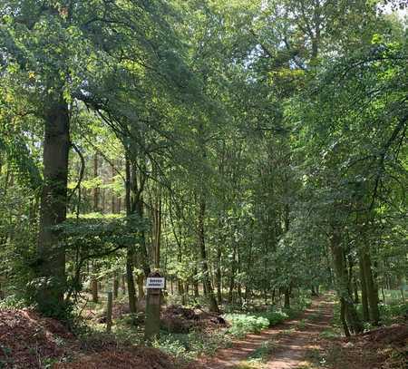 96 ha Eigentumsflächen Wald-Acker-Grünland mit Jagdhaus!