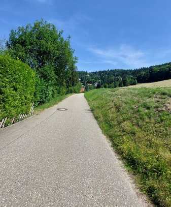 Schönes Baugrundstück in Sasbachwalden