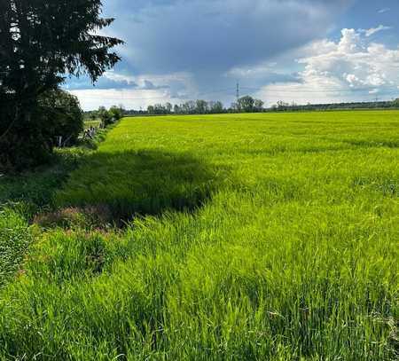 Ackerland landwirtschaftliche Fläche im Lechfeld