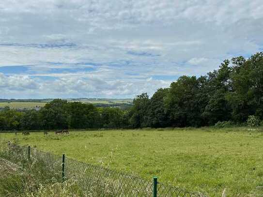 Wiese, Gartengrundstück zu verkaufen