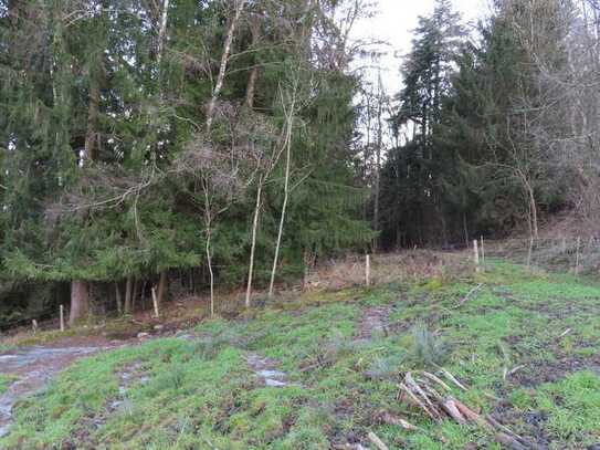 Wald-Idylle bei Altusried!
Preis auf Anfrage.