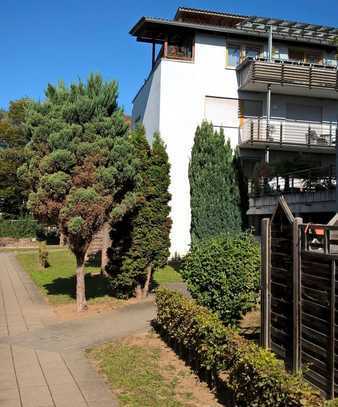 Am Fuße der Weinberge: helle 2 Zimmer-Wohnung mit Terrasse