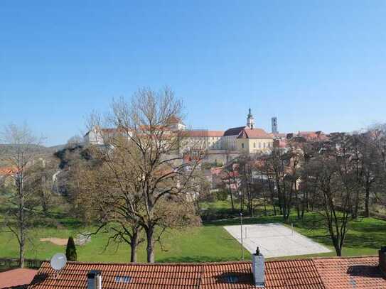 Modern, effizient und mit Traumblick auf das Schloss - KfW-40 Haus mit Carport in ruhiger Lage