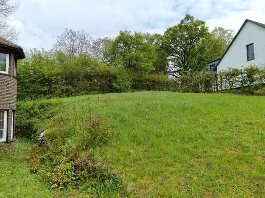 Baugrundstück für ein Einfamilienhaus direkt am Park