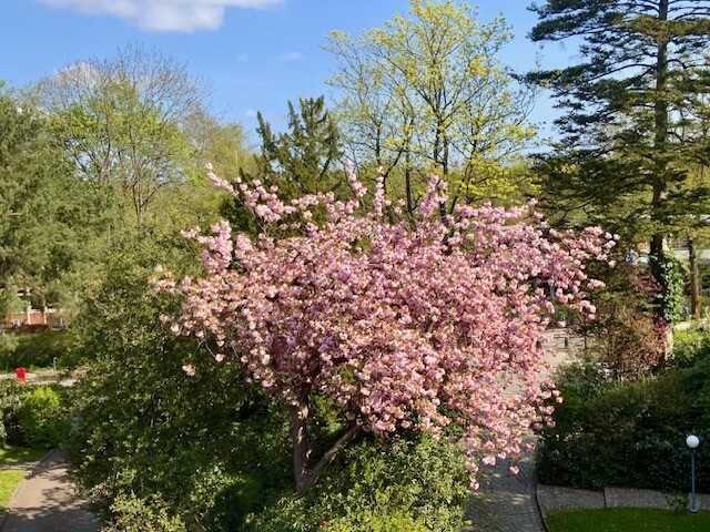 Penthouse in Hamburg-Othmarschen – Nähe Jenischpark und der Elbe