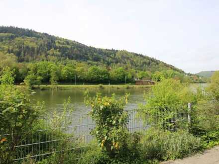 Schicke Single/Pärchenwohnung in Heidelberg mit Sonnenterrasse über dem Neckar