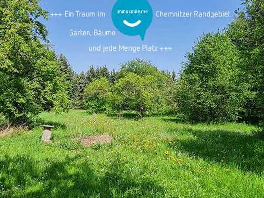 Grundstück • Bestandsimmobilie • Scheune • Garten • Biotop • baureifes Land im Außengebiet/ §35 • i