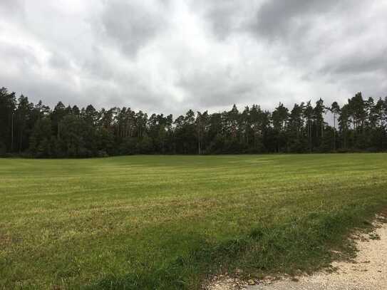 Neubaugebiet Theuern - Viel Platz für Ihr neues Zuhause!