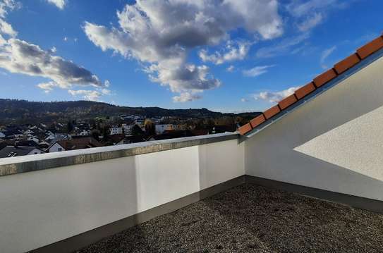 Exklusive 4-Zi-Wohnung mit großer Dachterrasse