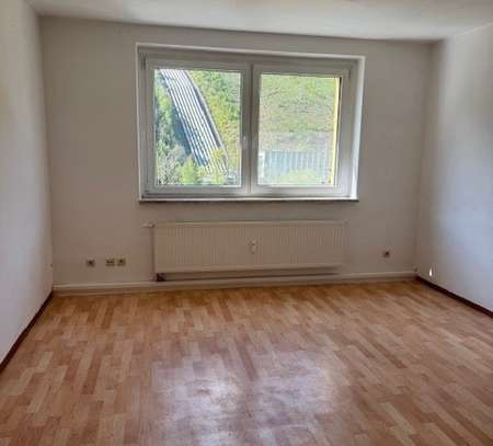 4 Raum-Wohnung -- neu renoviert