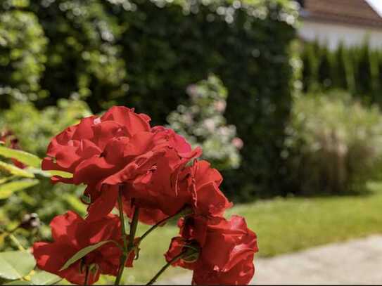 Großzügige, helle Gartenwohnung in bevorzugter Lage von Aubing!