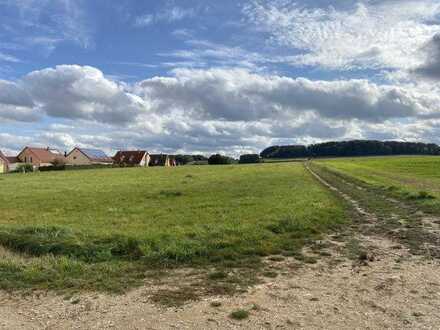 Im Alleinauftrag! Unverbauter Bauplatz mit 1002 m² in der Gemeinde Laaber/Brunn
