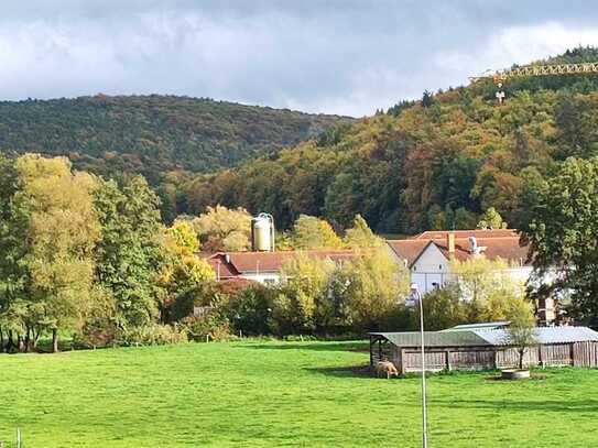 Aschaffenburg-Sulzbach Günstiger geht kaum Raumwunder in Schöner Feldrandlage