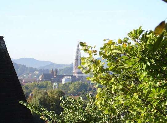 Erstbezug von traumhafter Altbau-Wohnung in Top-Lage nach Sanierung