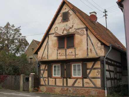 Neuburg: Einfamilienhaus mit Garten und hochwertigem Nebengebäude