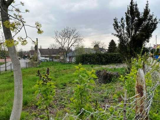 Wenn nicht jetzt, wann dann? Den Traum vom eigenen Haus erfüllen – Baugrundstück in Görzig