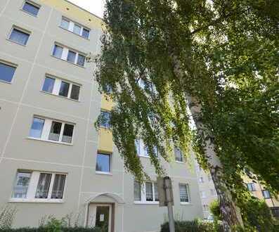 Ruhige und helle 3-Zimmer Wohnung mit Balkon in Stadtfeld West