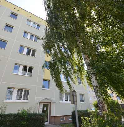 Ruhige und helle 3-Zimmer Wohnung mit Balkon in Stadtfeld West