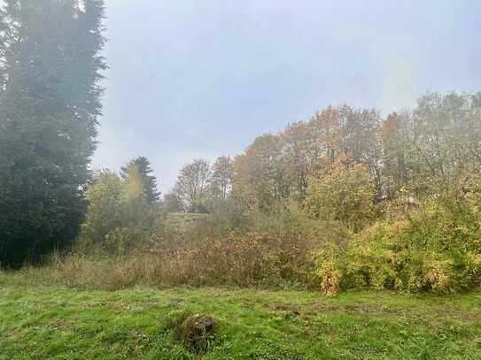 Baugrundstück mit unverbaubarem Blick zur Hallenburg zu verkaufen