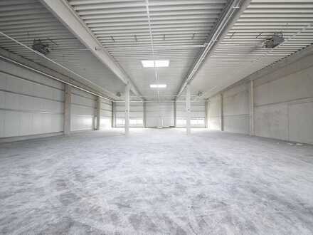 Büro/ Halle | Flexibel | Ebenerdig | 5,75 m UKB