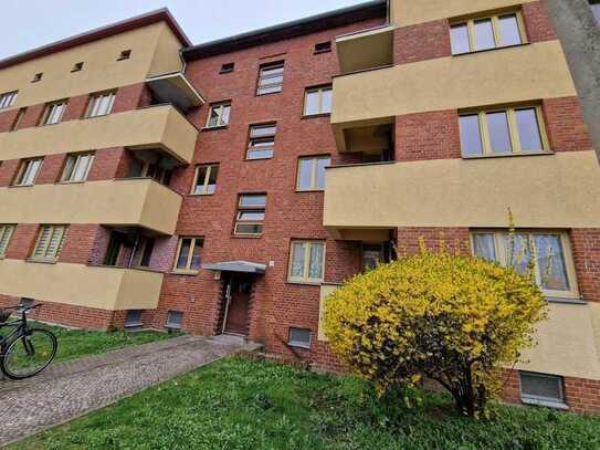 Schmuckstück in Cracau, frisch renoviert!