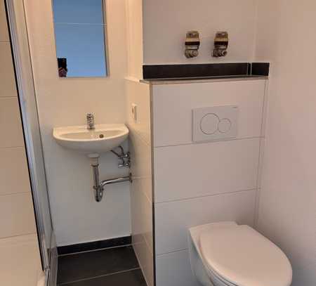 1 Zimmer Appartment neu Saniert mit Balkon