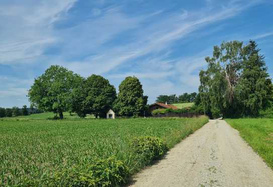 Neuwertiger Bungalow der Extraklasse mit Grundwasser-Wärmepumpe in unverbaubarer Ortsrandlage