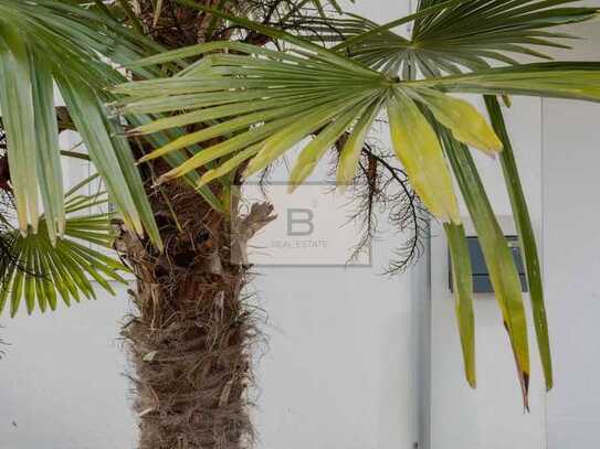 Urlaub Zuhause 🌴 - DHH in Bürstadt 🏡