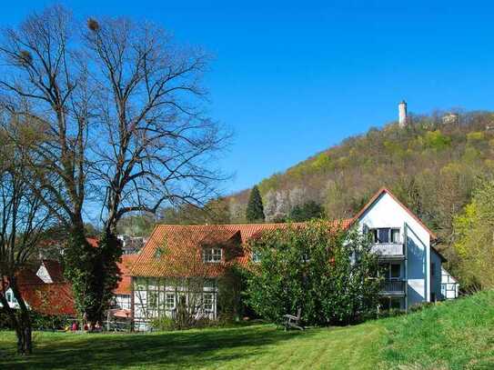 Traumhaft geschnittene Wohnung mit Blick zur Plesse mit neuer Küche