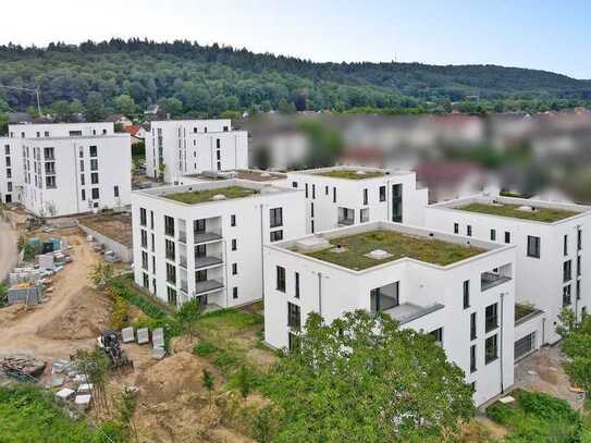 Unikat: 3-Zimmer Dachterrassenwohnung mit 180° Panoramablick in die Rheinebene